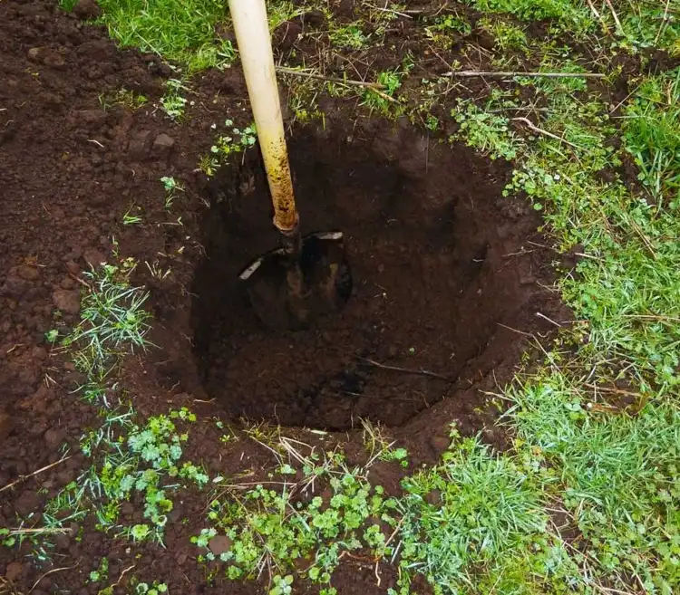 Obstbäume pflanzen - Das Loch schon eine Woche vorher ausgraben