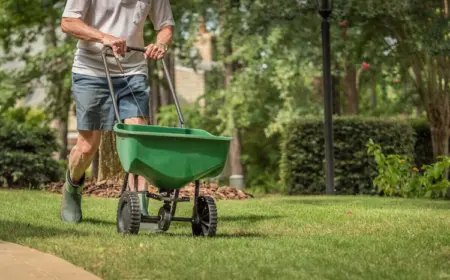 Rasen düngen im Herbst - Wann und wie die letzte Düngergabe durchführen