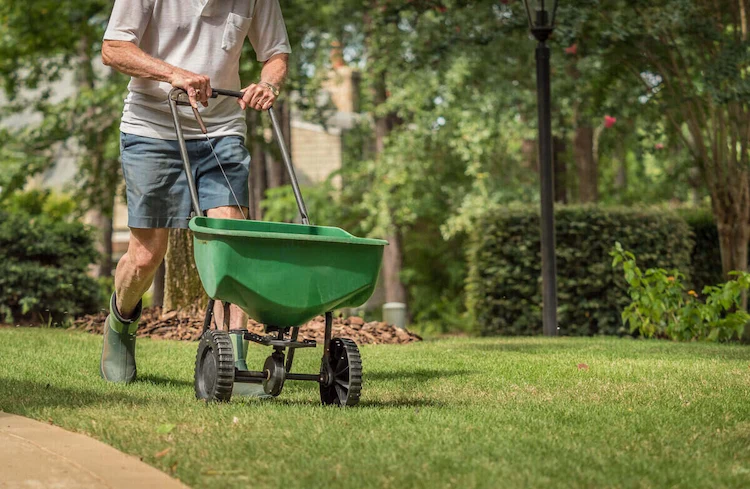 Lawn fertilization in autumn - when and how to apply the last fertilizer