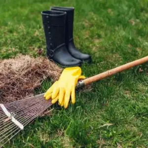 Rasen vertikutieren im Herbst - Warum ist dies für Ihre Grasfläche wichtig und wie pflegt man den Rasen richtig