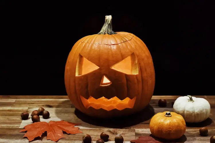 Riesenzentner muss geschält werden - Beliebt für Halloween aufgrund der Größe