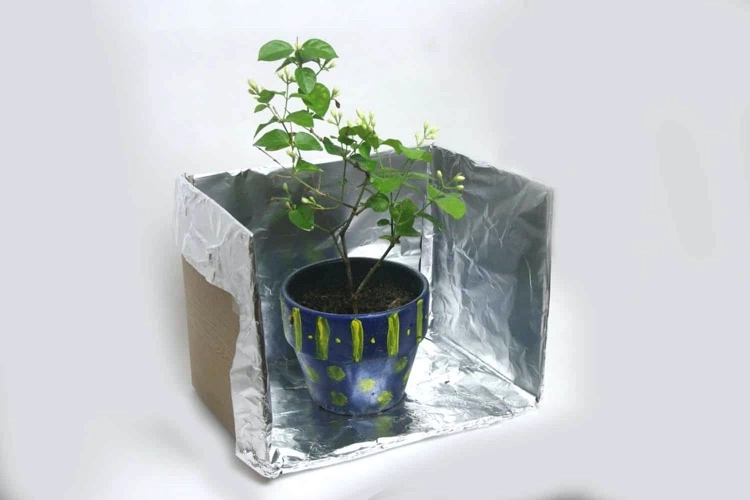 Sonnenkasten für Pflanzen mit Aluminiumfolie basteln