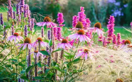 Staudenbeet anlegen im Herbst - Tipps und Schritte für ein blühendes Gartenbeet