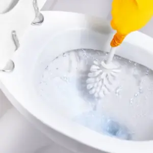 Toiletten reinigen unter Toilettenrand wie oft Urinstein entfernen