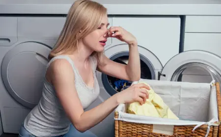 Wäsche riecht muffig aus dem Trockner Hausmittel stinkende Kleidung