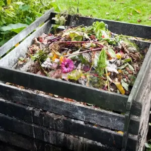 Was darf nicht auf den Kompost - Einige Abfälle können den Zersetzungsprozess stoppen