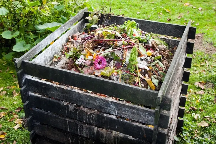What not to compost - some waste can stop the decomposition process