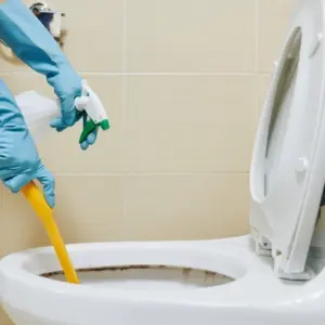 Wie reinigt man die Toilette richtig Schritte
