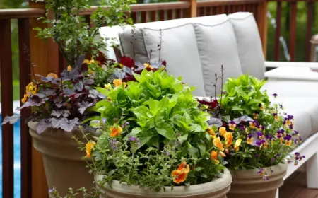 Winterharte Blumen für den Balkon, die Ihrem Außenbereich Farbe und Frische in den kalten Monaten verleihen