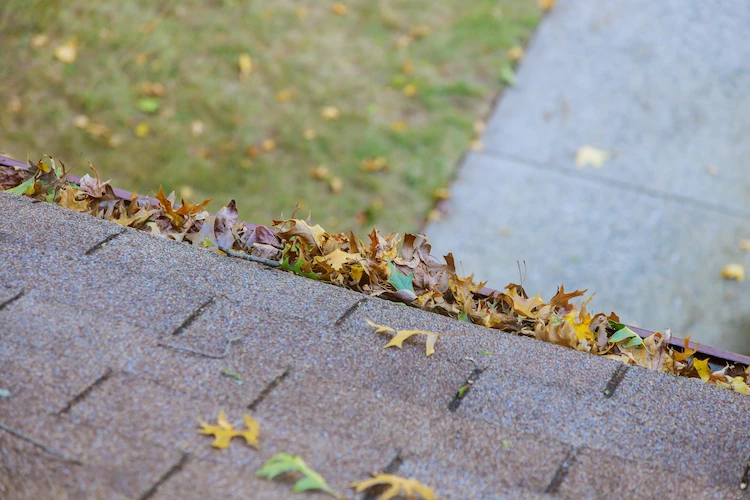 auf dem dach fallende herbstblätter verursachen oft verstopfte dachrinnen