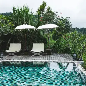 blick auf pool im garten mit sonnenschirmen im herbst