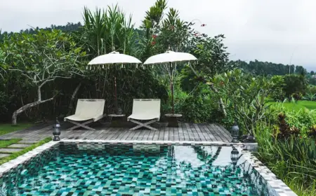 blick auf pool im garten mit sonnenschirmen im herbst