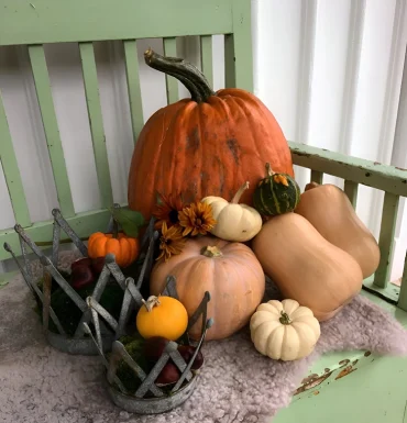 Gartenbank mit verschiedenen Kürbissen dekorieren