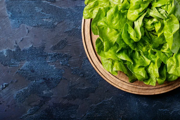 grüne salate wie kopfsalat und römersalat reich an polyphenolen und vitaminen