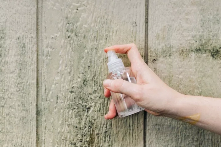 kleine sprühflasche mit spülmittel oder destilliertem weißen essig füllen und schimmel aus holz entfernen