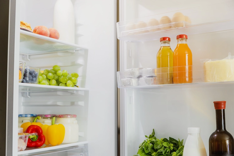 lebensmittel im kühlschrank nicht ganz hinten aufbewahren und die bildung vom schimmel vorbeugen