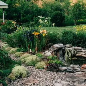 neben einem gartenweg positionierter gartenteich winterfest machen und sich um teichpflanzen kümmern