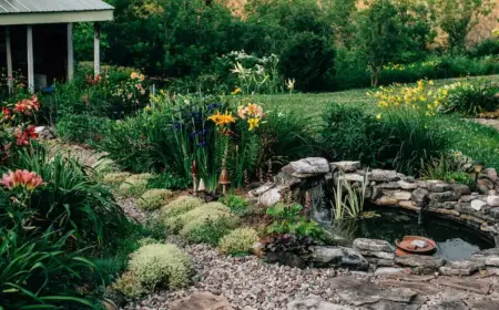 neben einem gartenweg positionierter gartenteich winterfest machen und sich um teichpflanzen kümmern