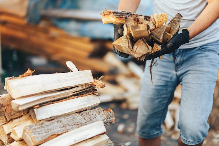 richtig abgelagertes brennholz verwenden und durch feuchtigkeit verursachte schadstoffe verhindern