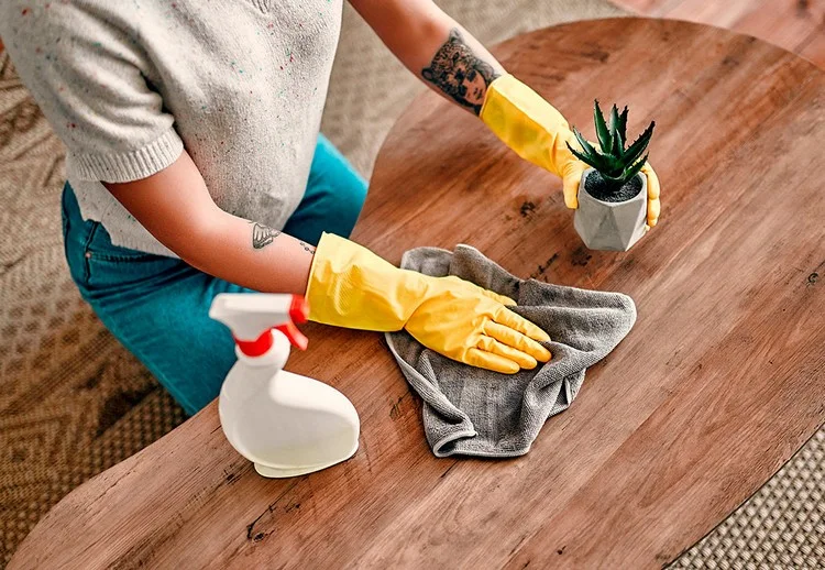 Anti Staub Spray selber machen - Dieser natürliche Reiniger mit ätherischen Ölen ist ideal für die Hauspflege