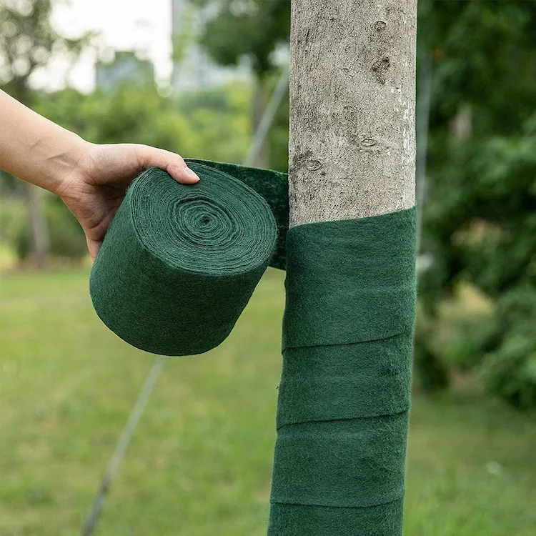 Baumumhüllungen kann man auch verwenden, um den Stamm vor Sonnenbrand zu schützen