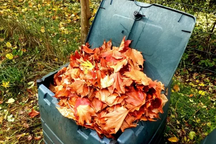 Das Laub verwerten - Kompostieren Sie es