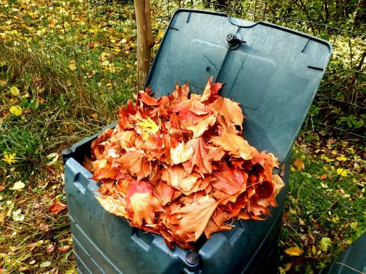 Das Laub verwerten - Kompostieren Sie es