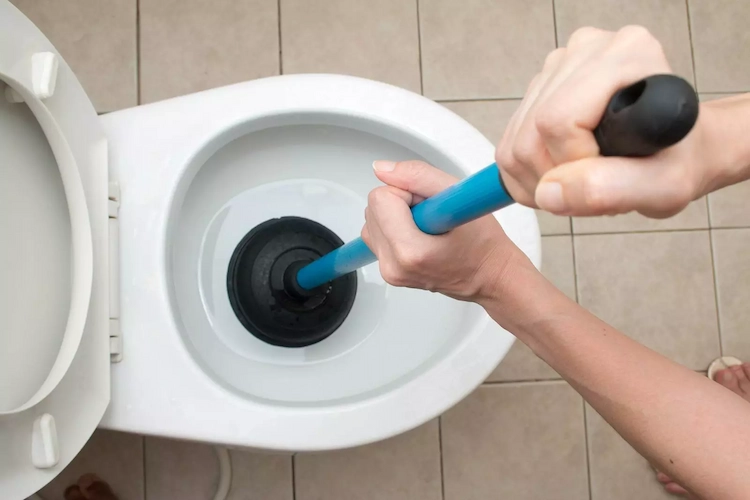 Den Abfluss der Toilette reinigen mit dem Toilettenstampfer - schnell und einfach