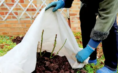 Gartenarbeit im November - Winterschutz auslegen für empfindliche und Jungpflanzen