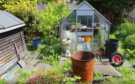 Gartenarbeit im Oktober - 5 wichtigsten Aufgaben für die Wintervorbereitung sollten Gärtner diesen Monat erledigen