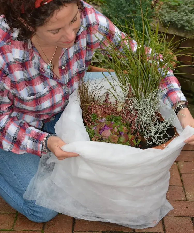 Gartenarbeit im Oktober - Kümmern Sie sich um Ihre Töpfe
