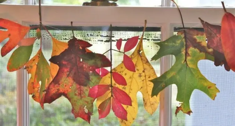 Girlanden aus Blättern und anderen Naturmaterialien als Herbstdeko für Fenster basteln