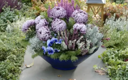 Grabgestaltung für Allerheiligen - Pflanzschale mit Tannengrün und Blumen