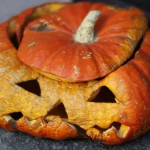 Halloween Kürbis haltbar machen - Wie man verhindern kann, dass der geschnitzte Kürbis schimmelt!