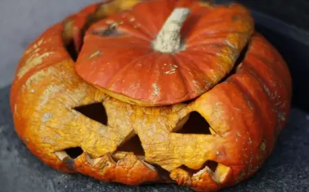 Halloween Kürbis haltbar machen - Wie man verhindern kann, dass der geschnitzte Kürbis schimmelt!