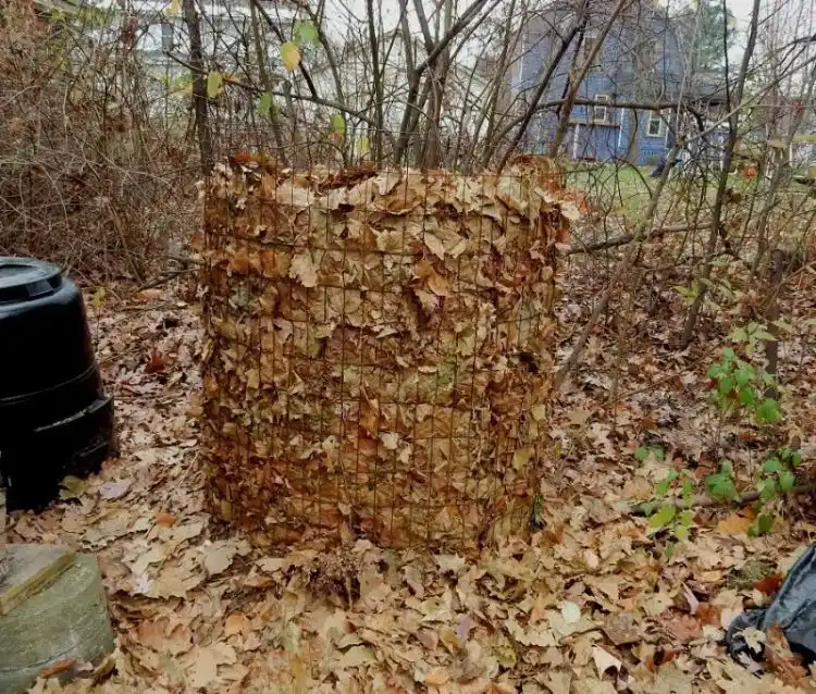 Herbstblätter kompostieren Tipps