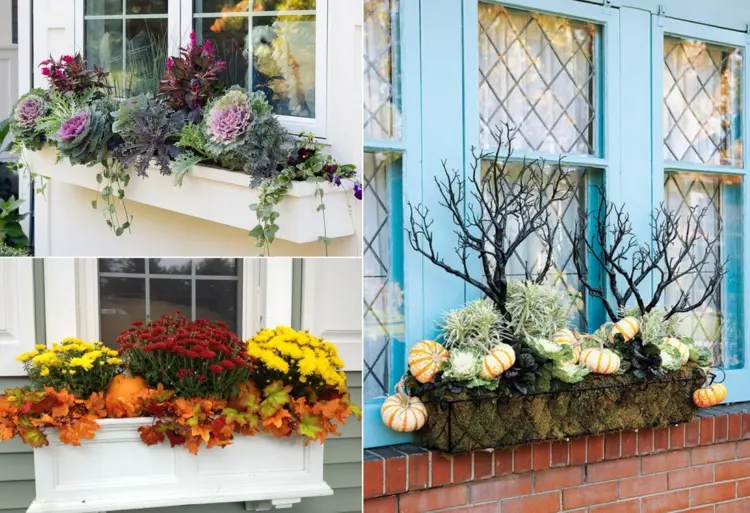 Herbstdeko für Fenster für draußen - Blumenkästen gestalten