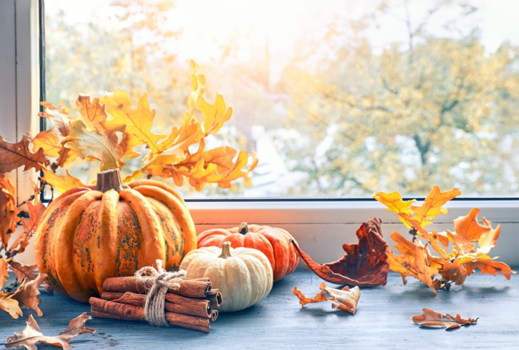 Herbstdeko für Fenster mit Zimtstangen, Kürbissen und Blättern