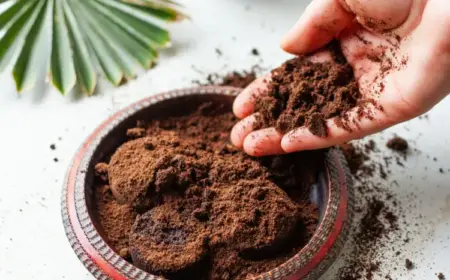 Kaffeesatz im Haushalt und Garten verwenden - Tricks für die Hausarbeit