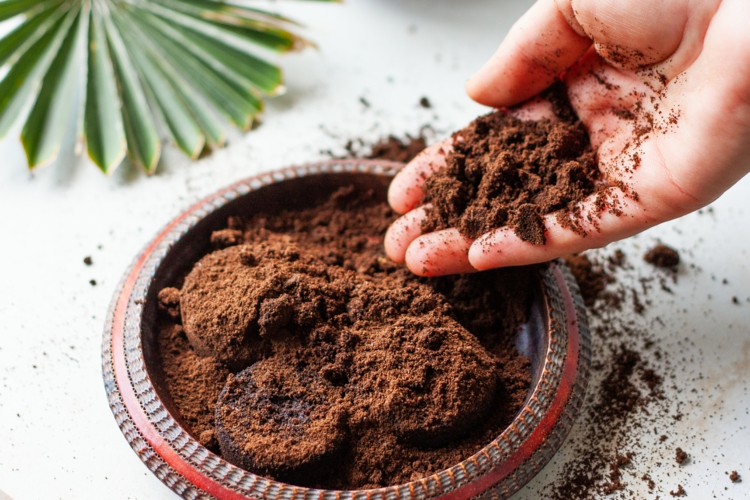 Kaffeesatz im Haushalt und Garten verwenden - Tricks für die Hausarbeit