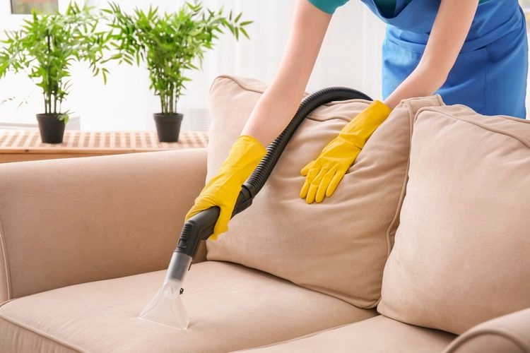 Sofa reinigen mit Dampfreiniger