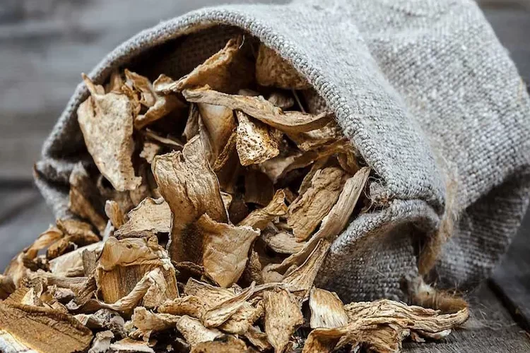 Steinpilze trocknen - Welche sind die meist verwendeten Methoden und wie kann man die Pilze aufbewahren