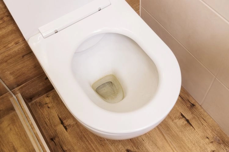 WC-Verkalkung wegbekommen mit Spülmaschinentabs