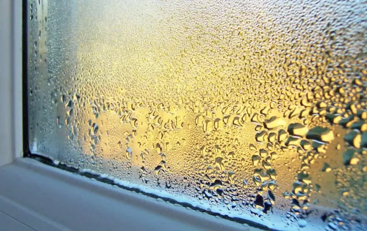 Wassertropfen am Fenster sind ein Zeichen für nötiges Lüften
