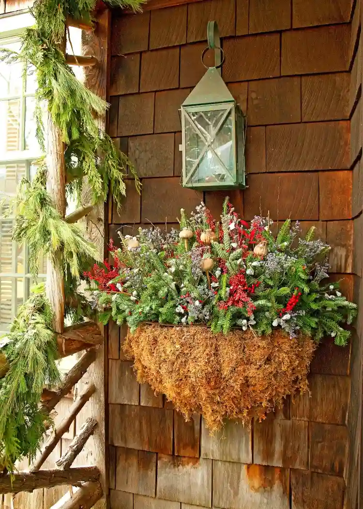 Winterampel für Balkon bepflanzen mit winterharten Balkonpflanzen
