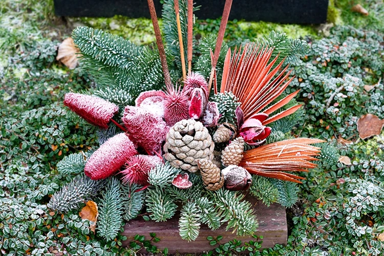 Grabgestaltung für Allerheiligen und Allerseelen mit Tannengrün, Tannenzapfen und Trockenblumen