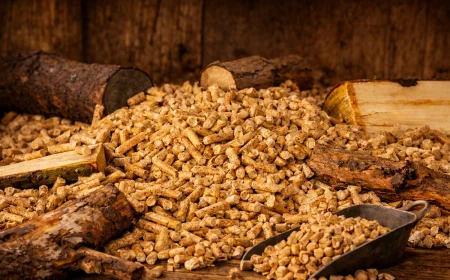 Kann man Holz im Pelletofen verbrennen oder Pellet im Holzkamin