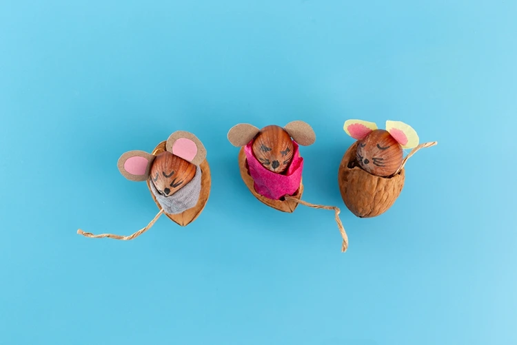 Kleine Mäuse mit Decke schlafen in Walnussschalen