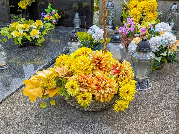 Leuchtend gelbe Blumen für die Grabgestaltung für Allerheiligen und Allerseelen