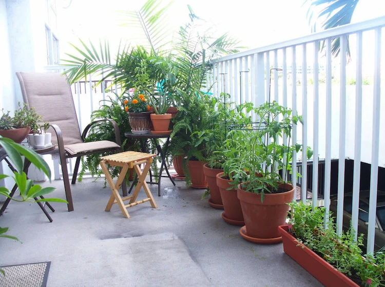 mit grünen gewächsen bepflanzter balkon in einer stadtwohnung mit sessel zum entspannen